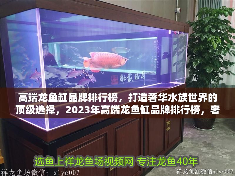 高端龍魚缸品牌排行榜，打造奢華水族世界的頂級選擇，2023年高端龍魚缸品牌排行榜，奢華水族箱的頂級之選