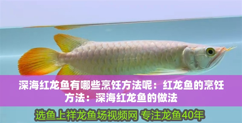 深海紅龍魚有哪些烹飪方法呢：紅龍魚的烹飪方法：深海紅龍魚的做法