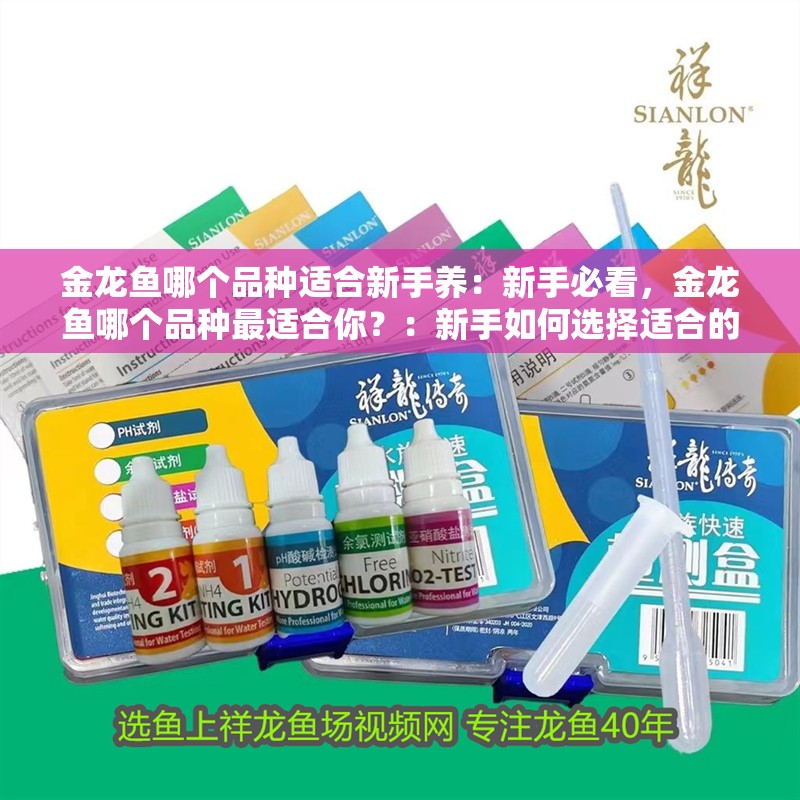 金龍魚(yú)哪個(gè)品種適合新手養(yǎng)：新手必看，金龍魚(yú)哪個(gè)品種最適合你？：新手如何選擇適合的金龍魚(yú)品種