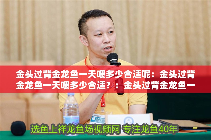 金頭過背金龍魚一天喂多少合適呢：金頭過背金龍魚一天喂多少合適？：金頭過背金龍魚一天喂多少合適