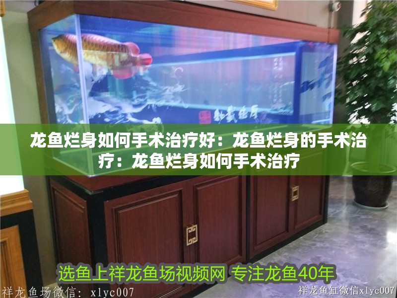 龍魚(yú)爛身如何手術(shù)治療好：龍魚(yú)爛身的手術(shù)治療：龍魚(yú)爛身如何手術(shù)治療