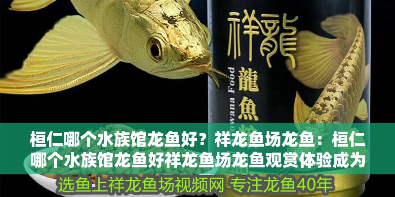 桓仁哪個(gè)水族館龍魚(yú)好？祥龍魚(yú)場(chǎng)龍魚(yú)：桓仁哪個(gè)水族館龍魚(yú)好祥龍魚(yú)場(chǎng)龍魚(yú)觀賞體驗(yàn)成為最佳選擇 桓仁哪個(gè)水族館龍魚(yú)好？祥龍魚(yú)場(chǎng)龍魚(yú)：桓仁哪個(gè)水族館龍魚(yú)好祥龍魚(yú)場(chǎng)龍魚(yú)觀賞體驗(yàn)成為最佳選擇 龍魚(yú)百科