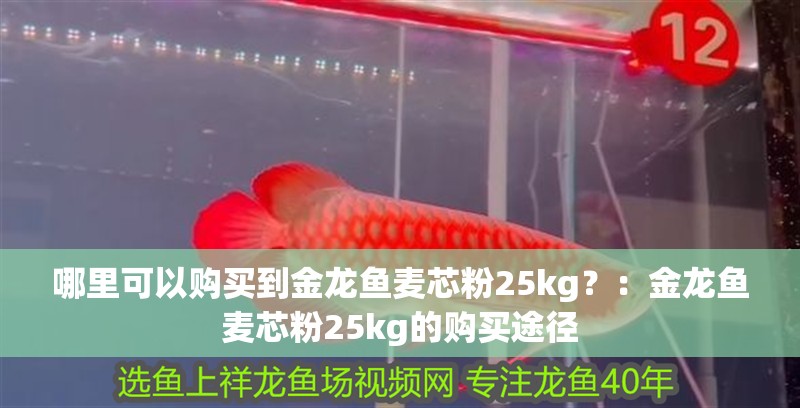 哪里可以購買到金龍魚麥芯粉25kg？：金龍魚麥芯粉25kg的購買途徑