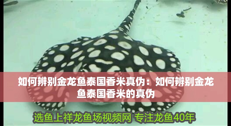 如何辨別金龍魚泰國香米真偽：如何辨別金龍魚泰國香米的真偽