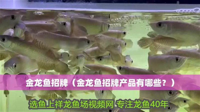 金龍魚招牌（金龍魚招牌產品有哪些？）