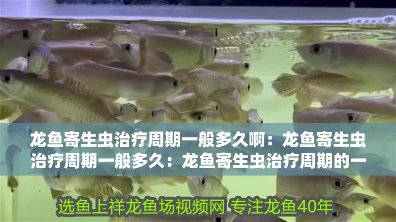 龍魚寄生蟲治療周期一般多久啊：龍魚寄生蟲治療周期一般多久：龍魚寄生蟲治療周期的一般情況