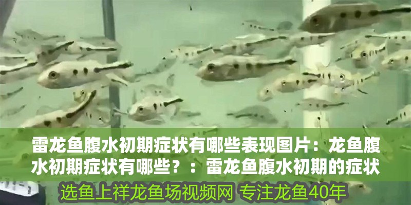 雷龍魚腹水初期癥狀有哪些表現圖片：龍魚腹水初期癥狀有哪些？：雷龍魚腹水初期的癥狀