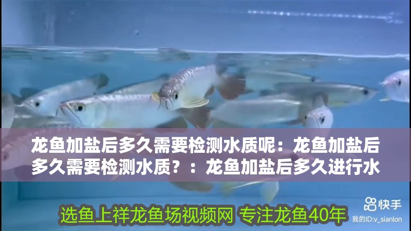 龍魚加鹽后多久需要檢測(cè)水質(zhì)呢：龍魚加鹽后多久需要檢測(cè)水質(zhì)？：龍魚加鹽后多久進(jìn)行水質(zhì)檢測(cè)