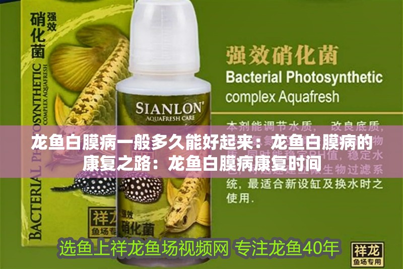 龍魚白膜病一般多久能好起來：龍魚白膜病的康復(fù)之路：龍魚白膜病康復(fù)時(shí)間