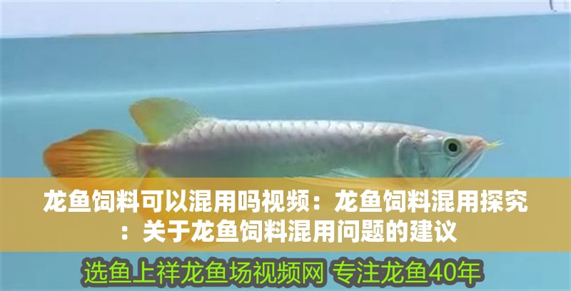 龍魚飼料可以混用嗎視頻：龍魚飼料混用探究：關(guān)于龍魚飼料混用問題的建議