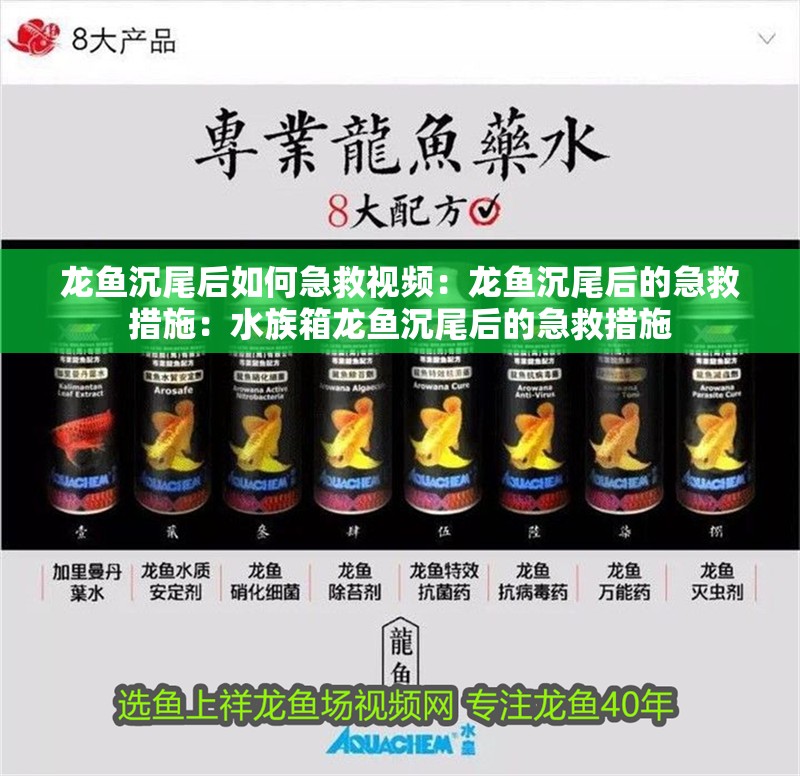 龍魚沉尾后如何急救視頻：龍魚沉尾后的急救措施：水族箱龍魚沉尾后的急救措施 龍魚沉尾后如何急救視頻：龍魚沉尾后的急救措施：水族箱龍魚沉尾后的急救措施 水族問答