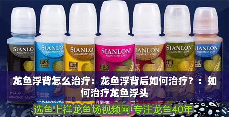 龍魚浮背怎么治療：龍魚浮背后如何治療？：如何治療龍魚浮頭