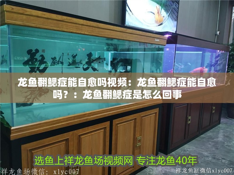 龍魚翻鰓癥能自愈嗎視頻：龍魚翻鰓癥能自愈嗎？：龍魚翻鰓癥是怎么回事
