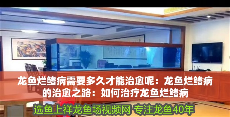 龍魚爛鰭病需要多久才能治愈呢：龍魚爛鰭病的治愈之路：如何治療龍魚爛鰭病