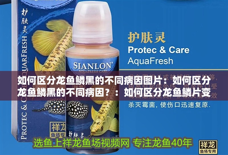 如何區分龍魚鱗黑的不同病因圖片：如何區分龍魚鱗黑的不同病因？：如何區分龍魚鱗片變黑的不同病因