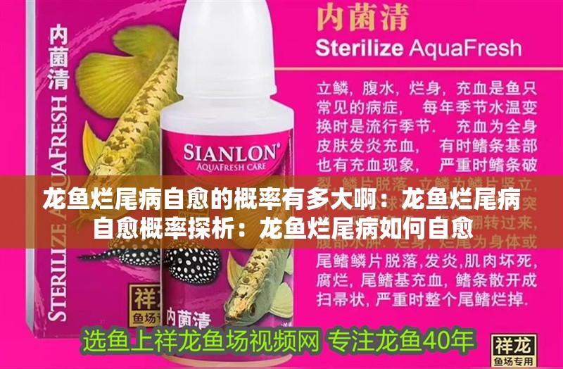 龍魚爛尾病自愈的概率有多大?。糊堲~爛尾病自愈概率探析：龍魚爛尾病如何自愈