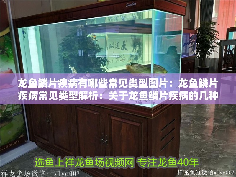 龍魚鱗片疾病有哪些常見類型圖片：龍魚鱗片疾病常見類型解析：關(guān)于龍魚鱗片疾病的幾種分析