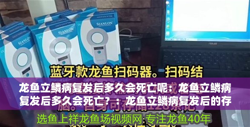 龍魚立鱗病復發后多久會死亡呢：龍魚立鱗病復發后多久會死亡？：龍魚立鱗病復發后的存活時間