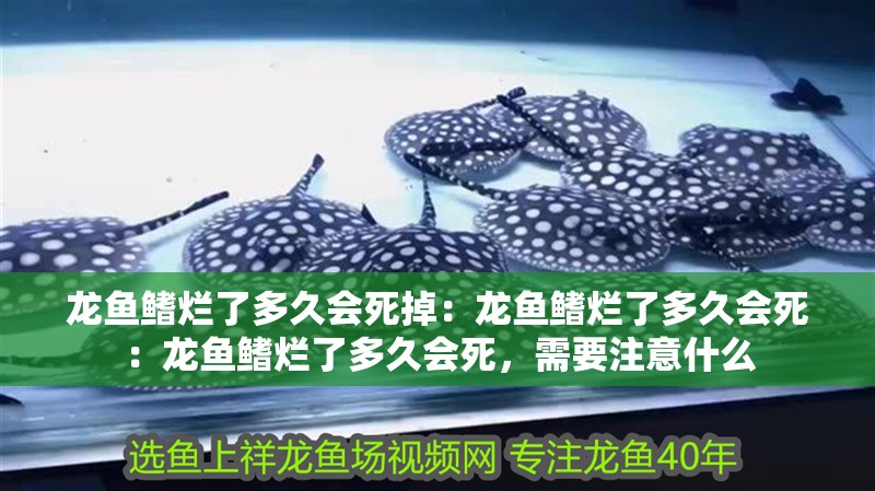 龍魚(yú)鰭爛了多久會(huì)死掉：龍魚(yú)鰭爛了多久會(huì)死：龍魚(yú)鰭爛了多久會(huì)死，需要注意什么