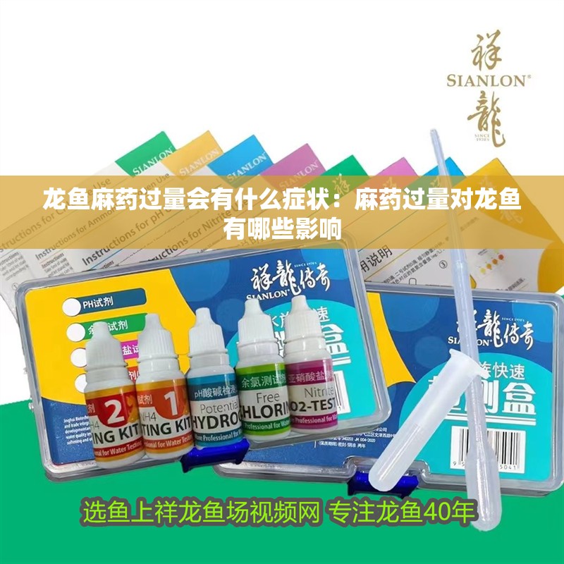 龍魚麻藥過量會有什么癥狀：麻藥過量對龍魚有哪些影響