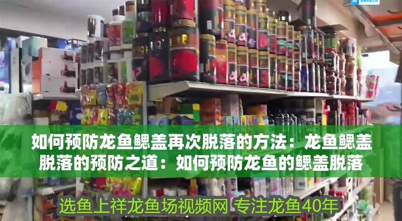 如何預防龍魚鰓蓋再次脫落的方法：龍魚鰓蓋脫落的預防之道：如何預防龍魚的鰓蓋脫落