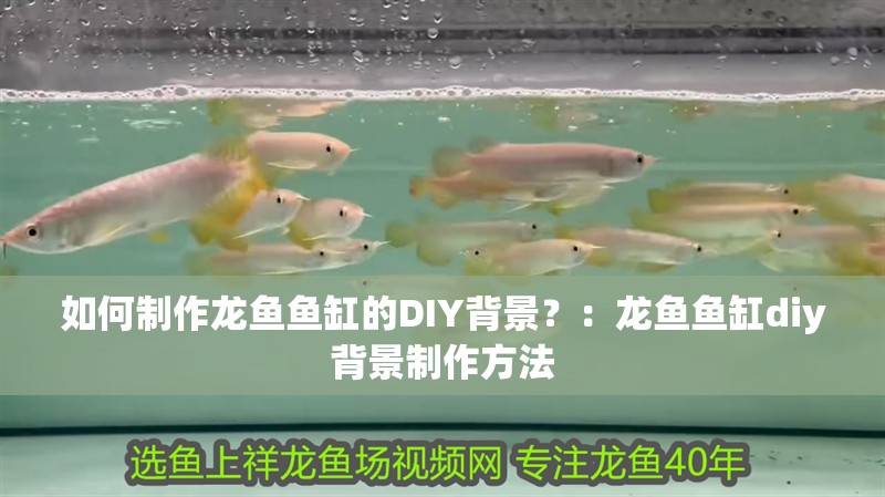 如何制作龍魚魚缸的DIY背景？：龍魚魚缸diy背景制作方法
