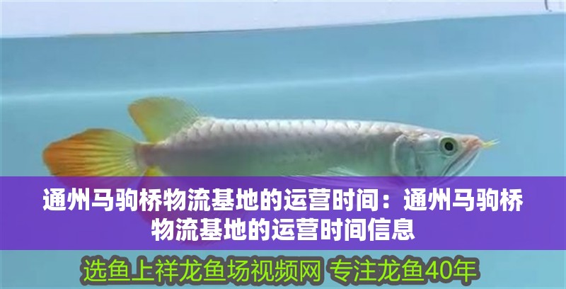 <strong><mark>通州</mark></strong>馬駒橋物流基地的運營時間：<strong><mark>通州</mark></strong>馬駒橋物流基地的運營時間信息
