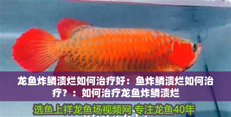 龍魚炸鱗潰爛如何治療好：魚炸鱗潰爛如何治療？：如何治療龍魚炸鱗潰爛