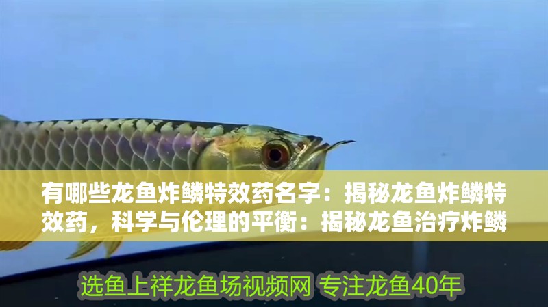 有哪些龍魚炸鱗特效藥名字：揭秘龍魚炸鱗特效藥，科學與倫理的平衡：揭秘龍魚治療炸鱗特效藥