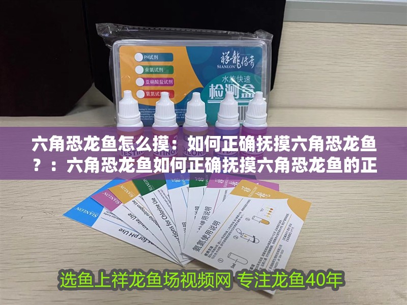 六角恐龍魚怎么摸：如何正確撫摸六角恐龍魚？：六角恐龍魚如何正確撫摸六角恐龍魚的正確撫摸方法