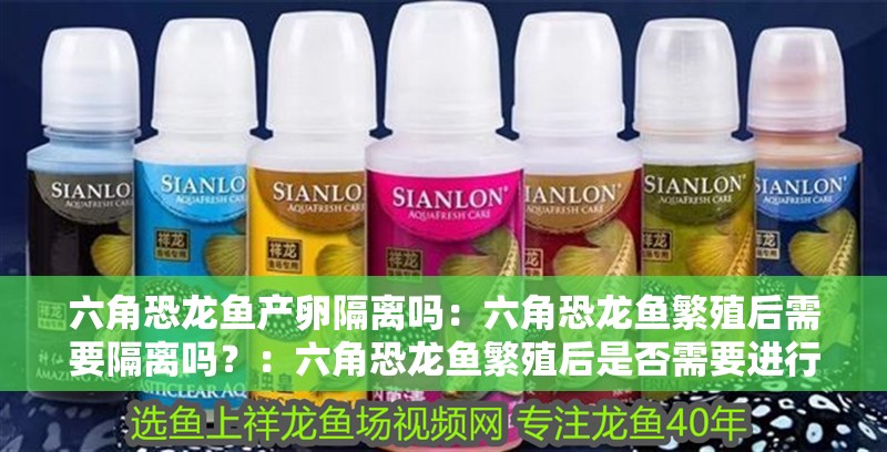 六角恐龍魚產卵隔離嗎：六角恐龍魚繁殖后需要隔離嗎？：六角恐龍魚繁殖后是否需要進行隔離