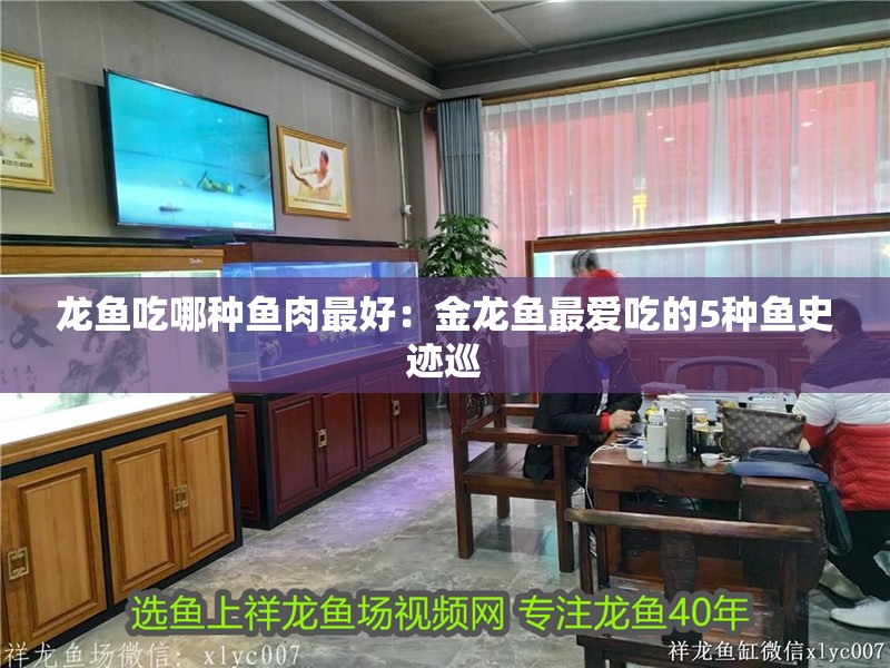 龍魚吃哪種魚肉最好：金龍魚最愛吃的5種魚史跡巡 龍魚吃哪種魚肉最好：金龍魚最愛吃的5種魚史跡巡 龍魚百科