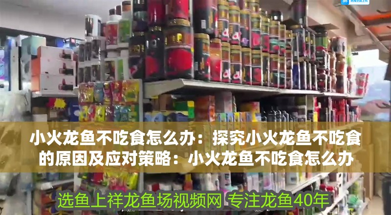 鸚鵡魚和銀龍魚混養怎樣喂食 小火龍魚不吃食怎么辦:探究小火龍魚不吃食的原因及應對策略:小火龍魚不吃食怎么辦 水族問答 小火龍魚不吃食怎么辦:探究小火龍魚不吃食的原因及應對策略:小火龍魚不吃食怎么辦 小火龍魚不吃食怎么辦:探究小火龍魚不吃食的原因及應對策略:小火龍魚不吃食怎么辦 水族問答