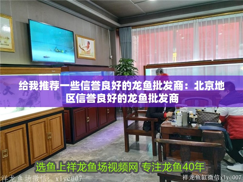 給我推薦一些信譽良好的龍魚批發商：<strong><mark>北京</mark></strong>地區信譽良好的龍魚批發商
