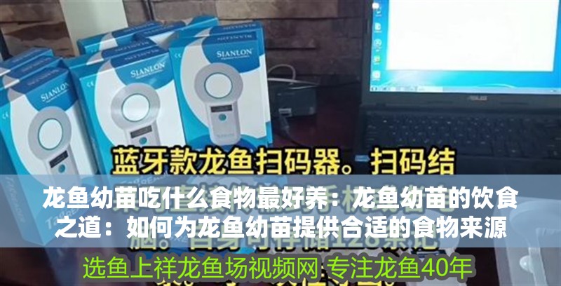 龍魚幼苗吃什么食物最好養：龍魚幼苗的飲食之道：如何為龍魚幼苗提供合適的食物來源