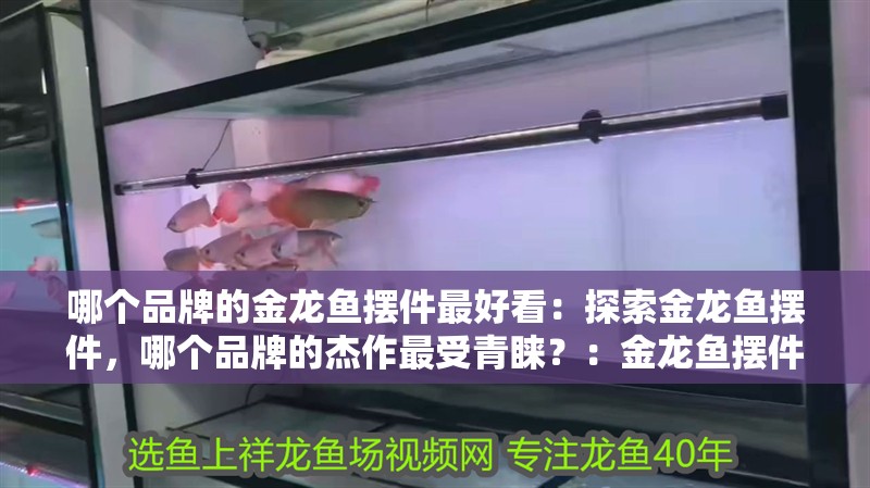 哪個品牌的金龍魚擺件最好看：探索金龍魚擺件，哪個品牌的杰作最受青睞？：金龍魚擺件品牌a、品牌b和品牌b和品牌c的特點