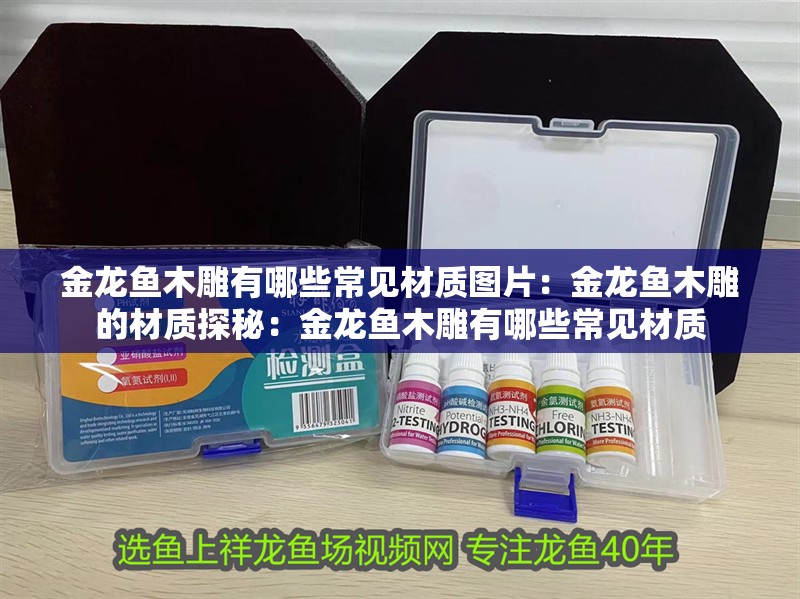 金龍魚木雕有哪些常見材質圖片：金龍魚木雕的材質探秘：金龍魚木雕有哪些常見材質 金龍魚木雕有哪些常見材質圖片：金龍魚木雕的材質探秘：金龍魚木雕有哪些常見材質 水族問答