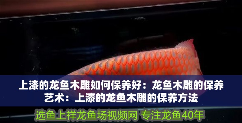 上漆的龍魚木雕如何保養好：龍魚木雕的保養藝術：上漆的龍魚木雕的保養方法 上漆的龍魚木雕如何保養好：龍魚木雕的保養藝術：上漆的龍魚木雕的保養方法 水族問答