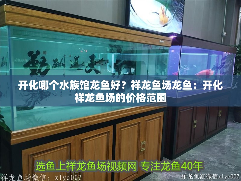 開化哪個水族館龍魚好？祥龍魚場龍魚：開化祥龍魚場的價格范圍