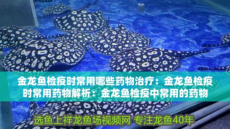 金龍魚檢疫時常用哪些藥物治療：金龍魚檢疫時常用藥物解析：金龍魚檢疫中常用的藥物