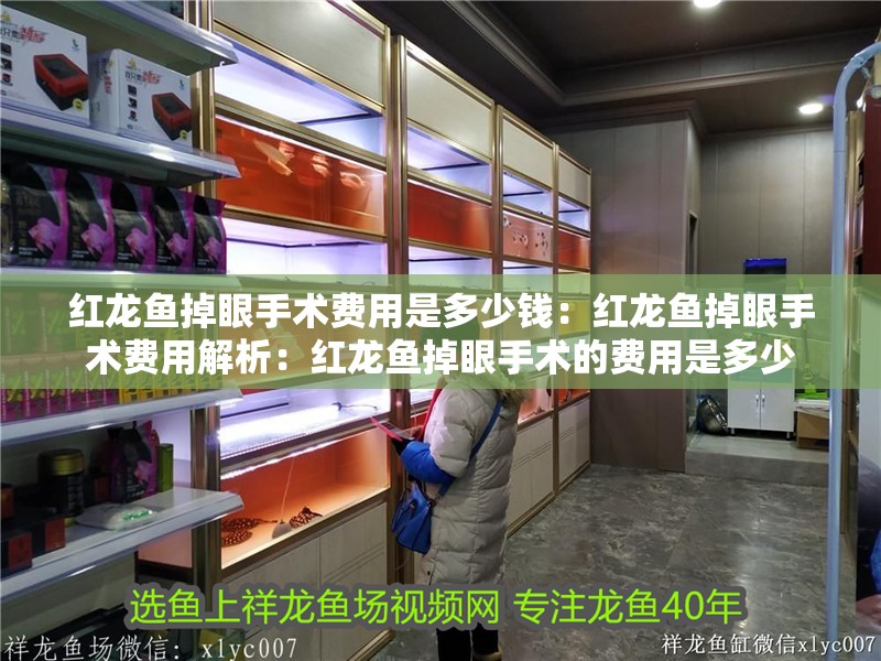 紅龍魚掉眼手術費用是多少錢：紅龍魚掉眼手術費用解析：紅龍魚掉眼手術的費用是多少