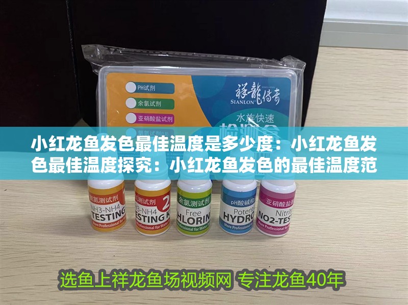 小紅龍魚發(fā)色最佳溫度是多少度：小紅龍魚發(fā)色最佳溫度探究：小紅龍魚發(fā)色的最佳溫度范圍
