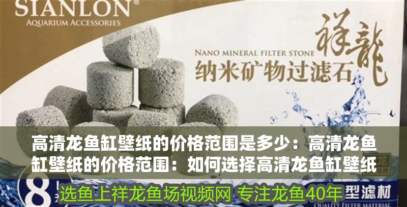 高清龍魚缸壁紙的價格范圍是多少：高清龍魚缸壁紙的價格范圍：如何選擇高清龍魚缸壁紙
