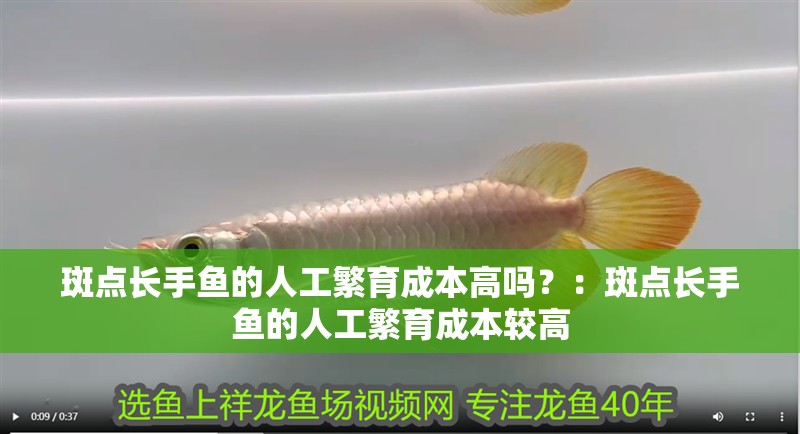 斑點長手魚的人工繁育成本高嗎？：斑點長手魚的人工繁育成本較高