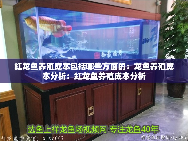 紅龍魚養(yǎng)殖成本包括哪些方面的：龍魚養(yǎng)殖成本分析：紅龍魚養(yǎng)殖成本分析