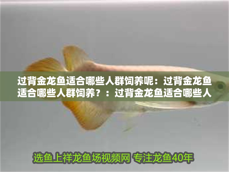 過背金龍魚適合哪些人群飼養(yǎng)呢：過背金龍魚適合哪些人群飼養(yǎng)？：過背金龍魚適合哪些人群飼養(yǎng)