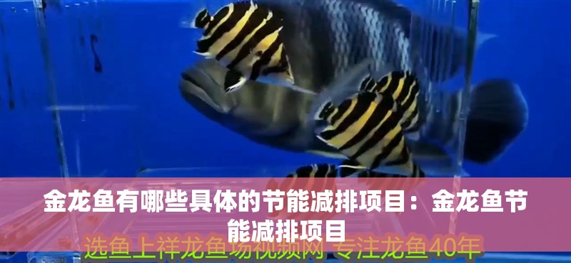 金龍魚有哪些具體的節(jié)能減排項目：金龍魚節(jié)能減排項目