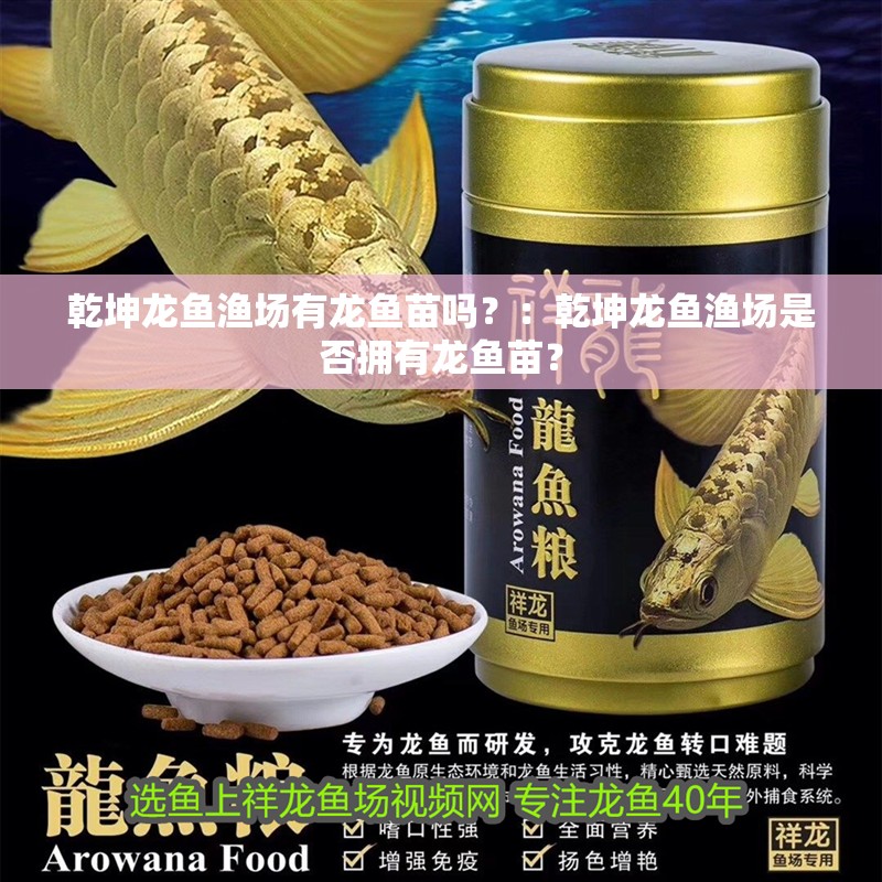 乾坤龍魚漁場有龍魚苗嗎？：乾坤龍魚漁場是否擁有龍魚苗？ 乾坤龍魚漁場有龍魚苗嗎？：乾坤龍魚漁場是否擁有龍魚苗？ 龍魚百科