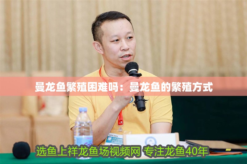 曼龍魚繁殖困難嗎：曼龍魚的繁殖方式 曼龍魚繁殖困難嗎：曼龍魚的繁殖方式 龍魚百科