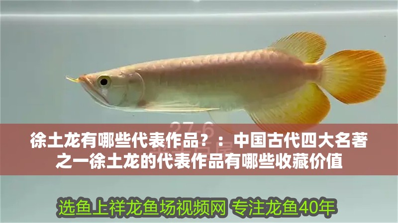 徐土龍有哪些代表作品？：中國古代四大名著之一徐土龍的代表作品有哪些收藏價值